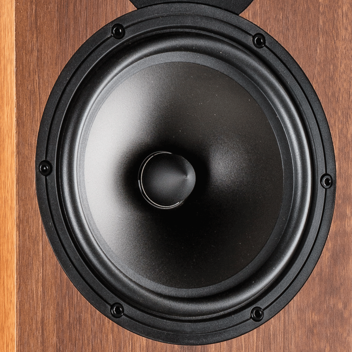 TESI-2017-Zoom-12-1200-1200